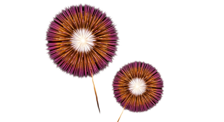 Two abstract dandelion seed head shapes isolated on transparent background