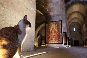 Sultanhani Caravanserai. Internal area of building built in 1229. Sultanhani, Turkey.