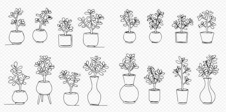 Collection of line art drawings depicting potted plants in various pots and vases.