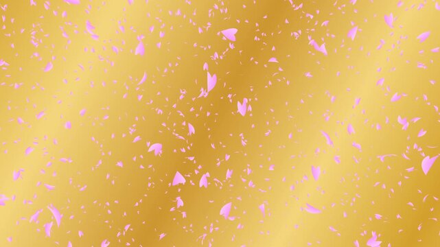Bunch of pink cherry petals falling down from top to bottom on gold gradient moving background. Abstract background with a scene of Spring time in Japan.