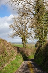 Country lane at Adforton near Wigmore, Herefordshire, England