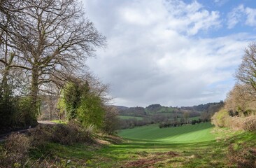 Country lane near The Goggin, Shropshire, England