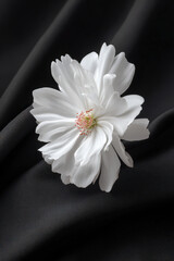 elegant guest list featuring ar names displayed in blurred white text bars subtly enhancing ambiance