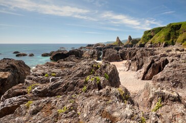 Devon Coastline in summer