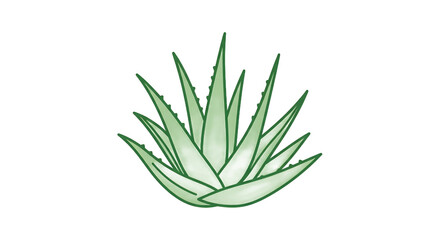 Obraz premium Minimalist vector illustration of an aloe vera plant, ideal for natural health product branding, cosmetic symbols, or a clean graphic design element