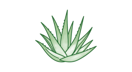 Minimalist vector illustration of an aloe vera plant, ideal for natural health product branding, cosmetic symbols, or a clean graphic design element