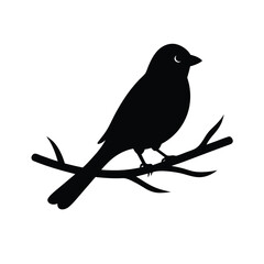 Bird sitting on branch silhouette vector illustration
