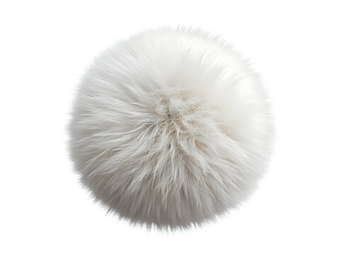 Fluffy White Spherical Object with Fine Hairs Isolated ball round isolated on a transparent background