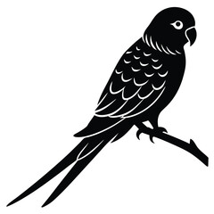 Parakeet sitting branch silhouette vector illustration
