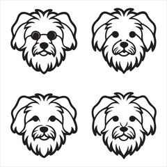 A Small and Elegant Maltese, a Charming Toy Breed Companion with Long Silky Hair that is Non-shedding, a Gentle Lapdog with a Fearless Heart