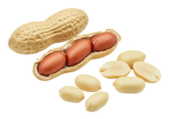 Photorealistic still life of various raw peanuts, whole in shell, cracked, and blanched kernels, meticulously arranged on a transparent studio background with copy space, showcasing natural