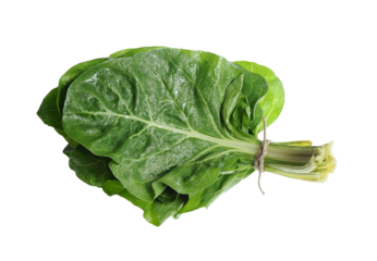 vibrant bunch of swiss chard leaf isolated on white background