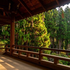 Wooden walkway overlooking lush forest