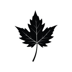 Mango branch part silhouette vector illustration
