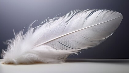 Obraz premium large white feather displayed on a neutral background showcasing its delicate structure and unique details