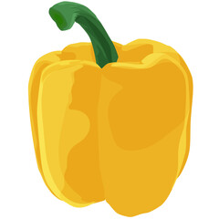 Yellow pepper illustration for recipe, menu, or nutrition art.
