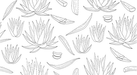 Hand-drawn vector outline pattern of aloe vera plants and leaves, creating a seamless botanical design for holistic health and natural beauty concepts