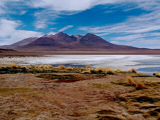 Bolivia,Laguna CanapaThis beautiful high altitude lagoon, located at an altitude of about 4000m, is known for its crystal clear blue waters surrounded by rugged mountain peaks and volcanic formations.