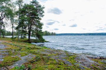 Autumn landscape, lake and wooded area. Strong wind, waves on the lake.