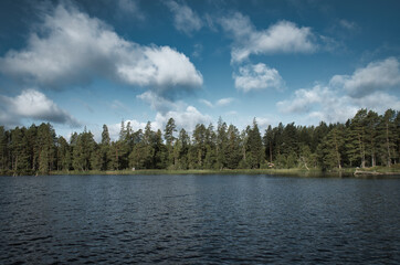 Swedish lake with forest reflection under blue sky on a sunny day