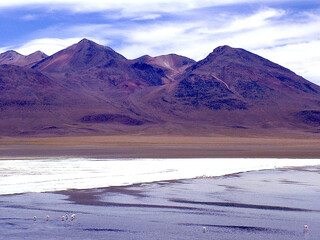 Bolivia,Laguna CanapaThis beautiful high altitude lagoon, located at an altitude of about 4000m, is known for its crystal clear blue waters surrounded by rugged mountain peaks and volcanic formations.