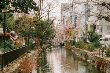 Nishikawa Greenway Park in Okayma, Japan