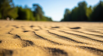 Golden Sand Dunes Ripples Under a Clear Blue Sky