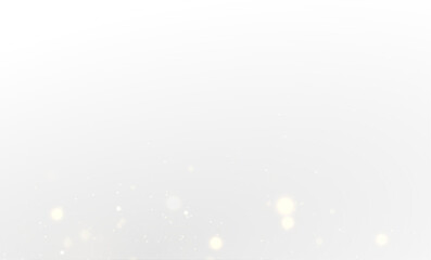 Shimmering White Stardust