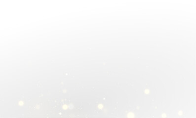 Shimmering White Stardust