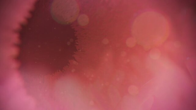 3D medical animation of intestinal villi