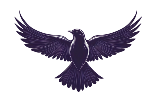 Silhouette of a flying bird with spread wings on transparent background