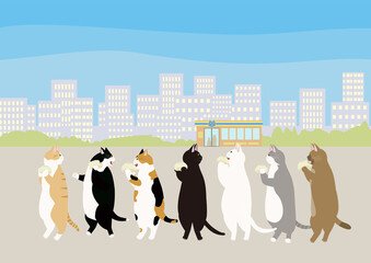 コンビニで買った肉まんを食べながら散歩する7匹の猫
