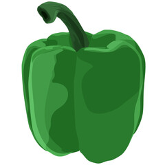 A fresh green paprika vector, perfect for healthy food projects.