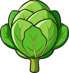 Brussels Sprout Vector Illustration | Fresh Green Cabbage Vegetable Clipart