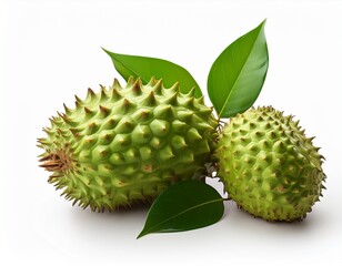 a fresh soursop fruit with a spiky green skin and attached leaves isolated on a white background