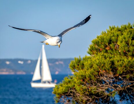 A seagull soaring above the ocean