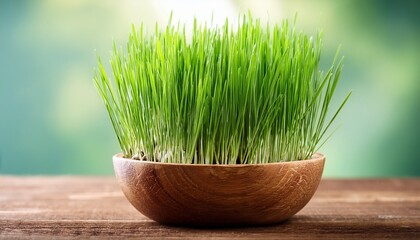 wheatgrass in wooden bowl springtime greens