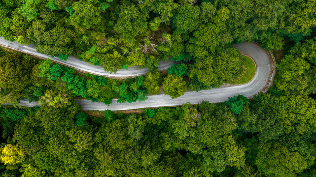 Aerial zenithal view of a winding road with a sharp bend. Surrounding it is a dense evergreen forest. 