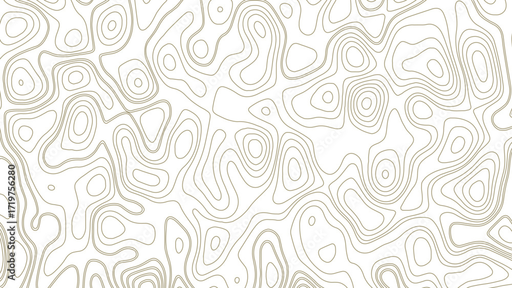 Poster retro topography map. white geographic contour map. abstract outline grid.