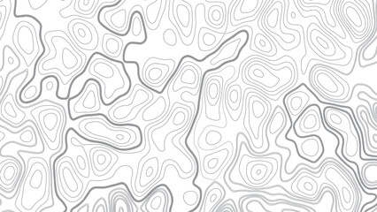 Topographic map pattern background vector. Abstract mountain terrain map background with abstract shape line texture. Design illustration for wall art, fabric, packaging, web, banner, wallpaper.