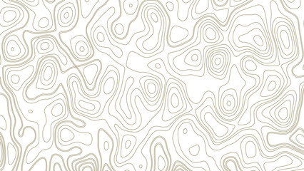 Retro topography map. White geographic contour map. Abstract outline grid.