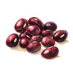 Fototapeta premium A minimal layout, Watercolor painting of red adzuki beans, delicately hand-painted with artistic brush strokes, white background, vector EPS. vector illustration