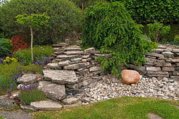 Different types of shrubbery, shrubs, stone path surrounded by evergreen trees. Professional Landscaping with lots of flowers, plants, rocks on the ground. Garden Daily Idea. English style. Real Video