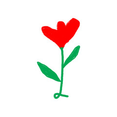 Red flower green stem leaves isolated on a transparent background image