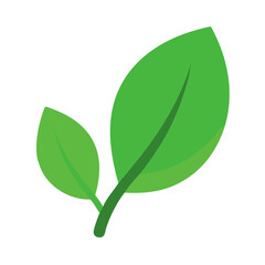 Vector art of two vibrant green leaves connected by a stem, symbolizing growth, freshness, and the beauty of natural elements