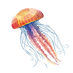 Vibrant illustration of a jellyfish with intricate details and colorful tentacles.