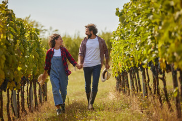 A couple walks together through rows of lush grapevines in a vineyard, holding hands and smiling at each other on a bright sunny day, representing their family business.