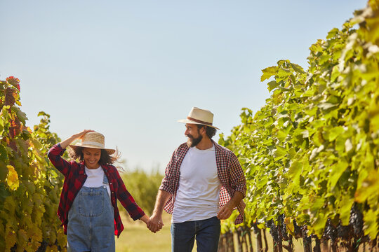 A couple strolls through rows of grapevines in a vineyard, smiling and enjoying the sunny day while celebrating their family business in wine production.