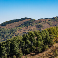 Naklejka premium view of the valley of the mountains
