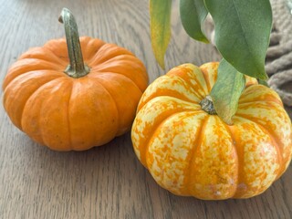 Mini pumpkins on wooden table, autumn harvest décor. Bright small pumpkins on rustic table, perfect for fall, Thanksgiving and Halloween seasonal decoration.